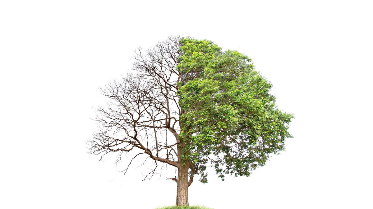 Why Feedback Is Your Untapped Goldmine